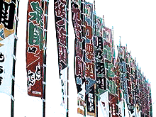 The sumo flags.
