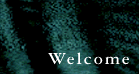 [Welcome Message]