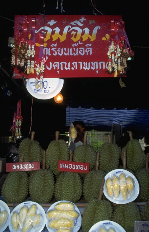 [Durian]