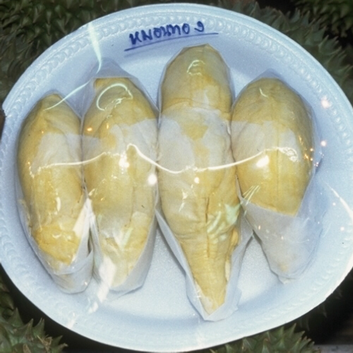 [Durian]