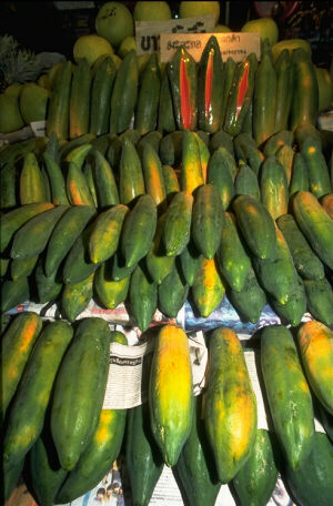 [Picture of Papayas]