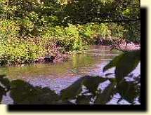 View of the Saddle River in Fair Lawn