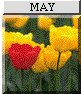 May