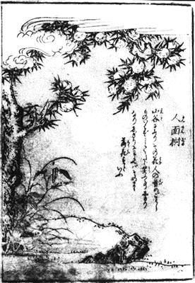 百鬼図譜「今昔百鬼拾遺雲之巻」にんめんじゅ