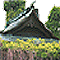 ݂ǂ