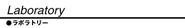 ../lab/lab_t.gif