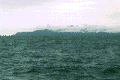 The Coast as seen from our Boat