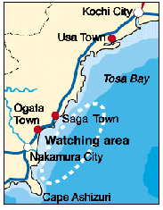 A Map of Ogatas Whale Watching Area
