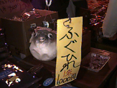 Picture of Fugu