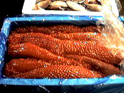 Picture of Salmon Roe