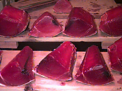 Picture of Fresh Tuna