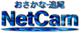 NetCam