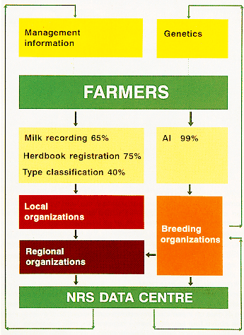 Farm Organizational Chart